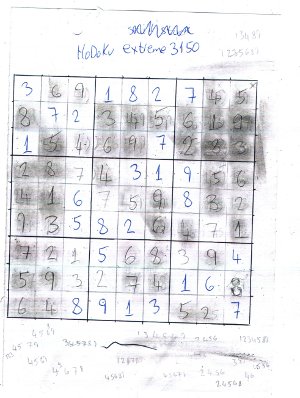HoDoKu_extreme_3150_6.jpg