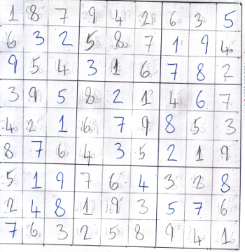 HoDoKu program._Extreme 3092).png